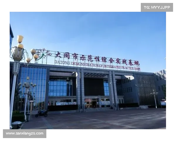 深入探究巴舒亚伊多语言背景与文化适应能力的形成因素