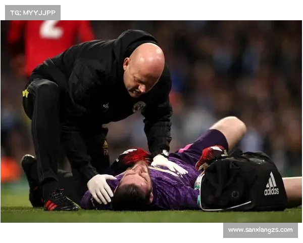 德赫亚国际赛场神勇发挥助西班牙队力克强敌成功晋级